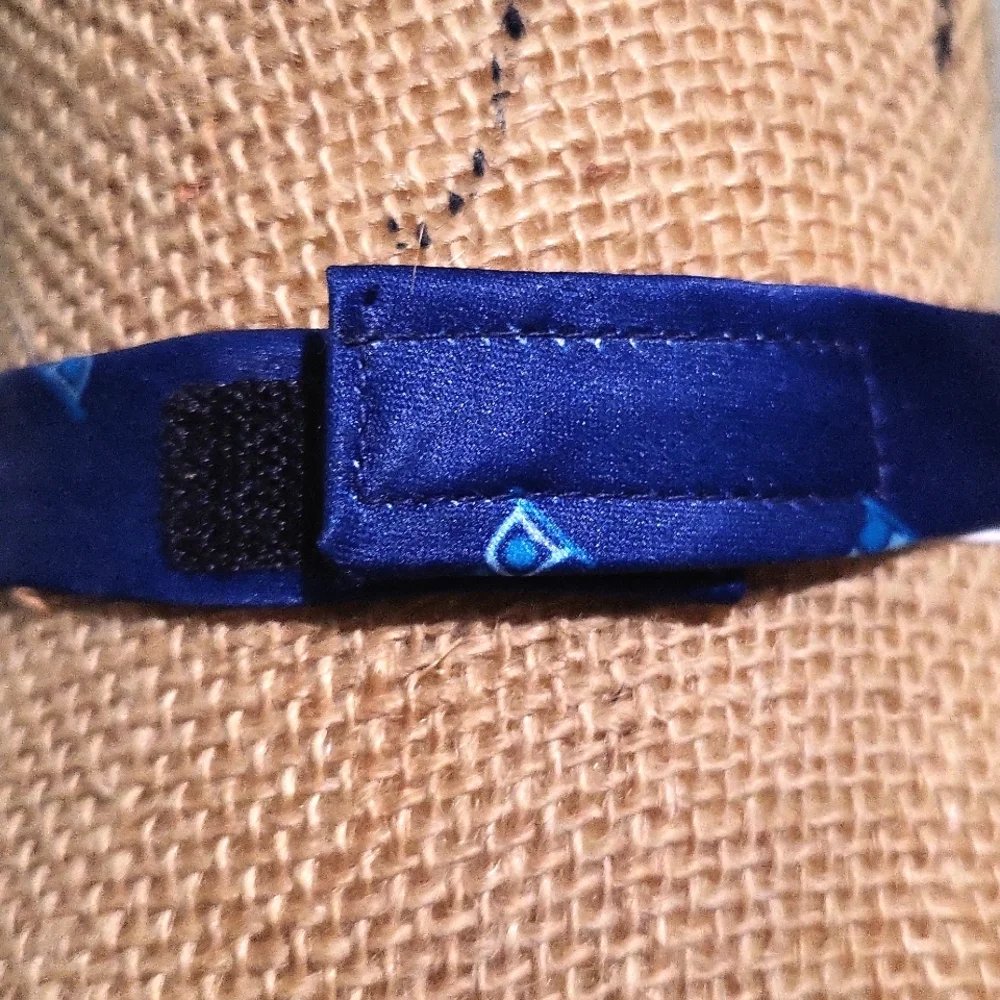 Elegant Blue Bow Tie